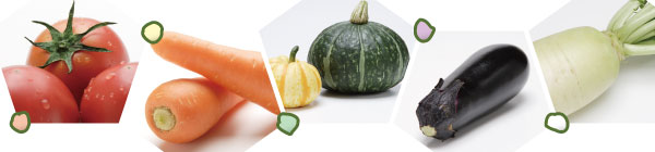 色とりどりの野菜